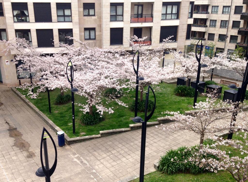 Pension T5 Donostia Suites San Sebastian Bagian luar foto